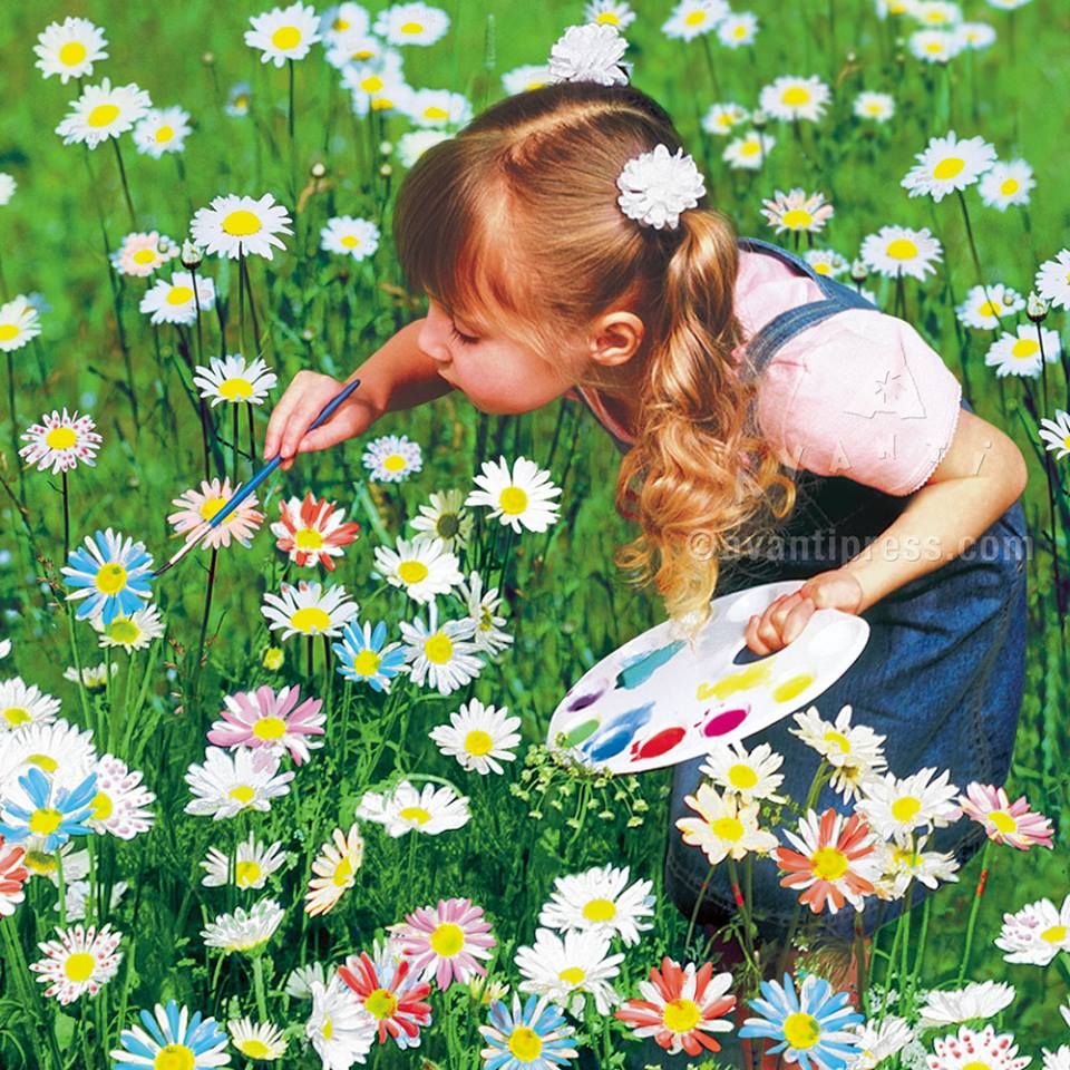 Однообразное лето