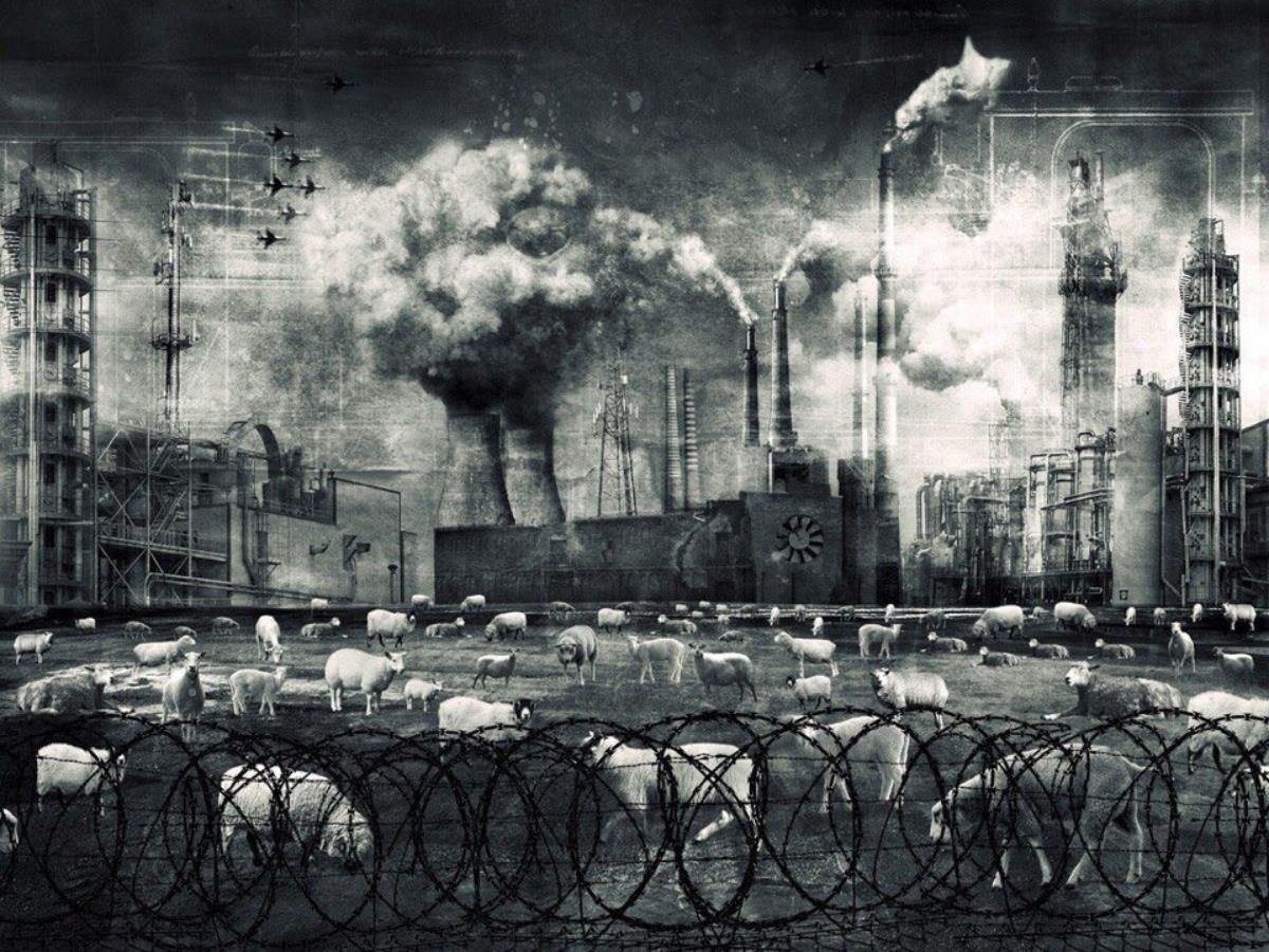 Дистопия антиутопия