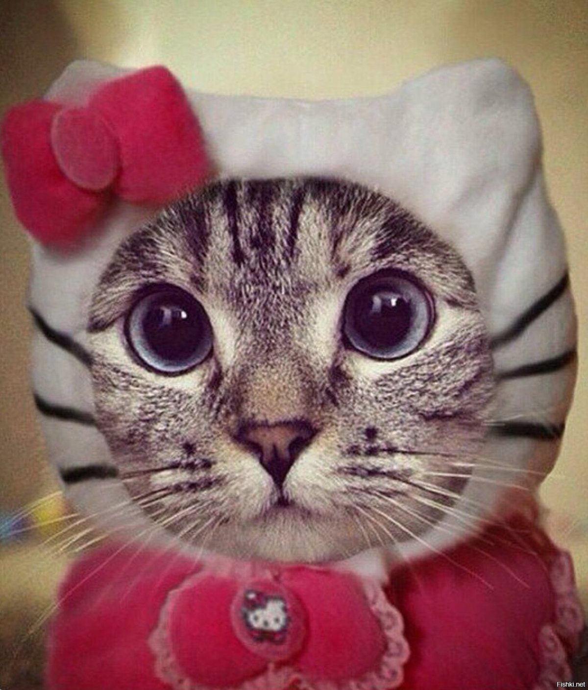 Котенок с язычком