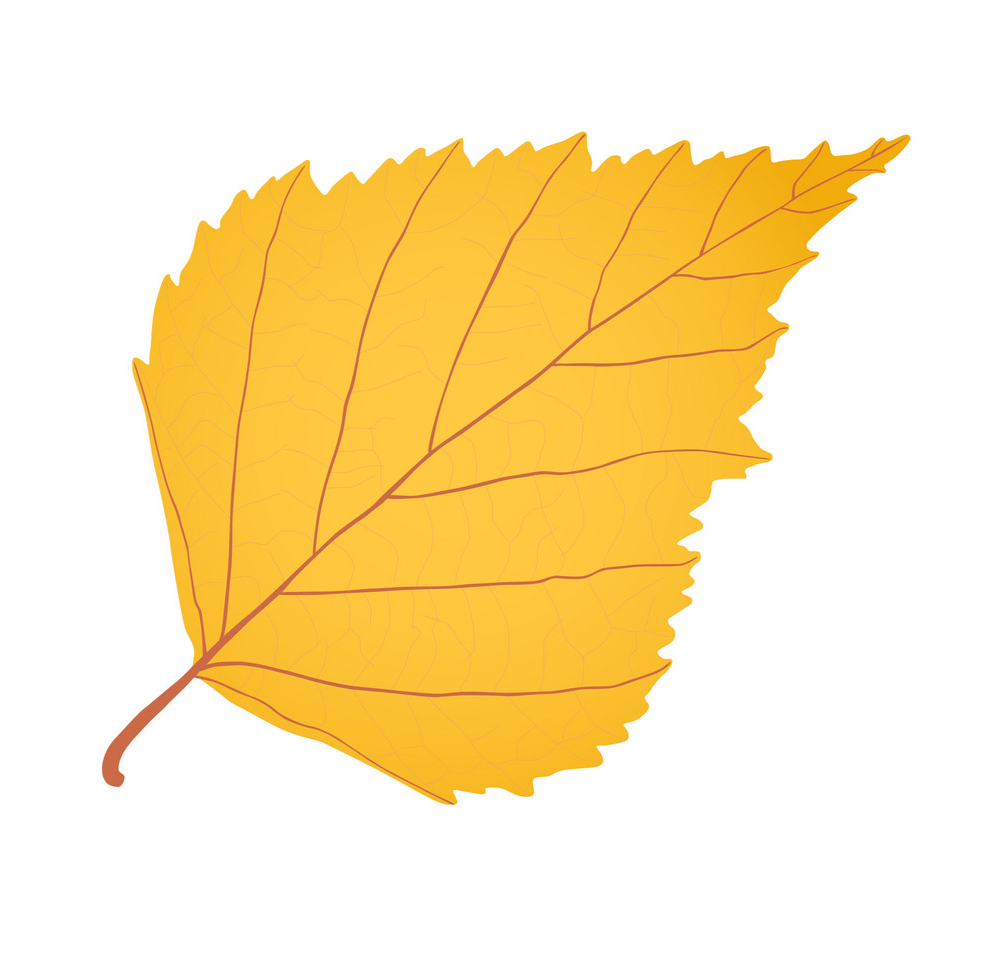 Осенние листья