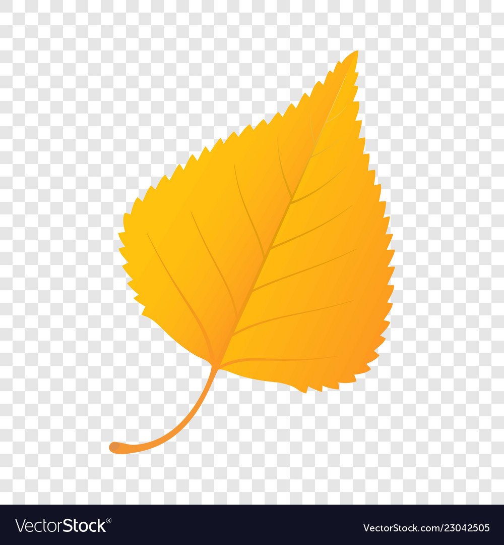 Желтый березовый лист