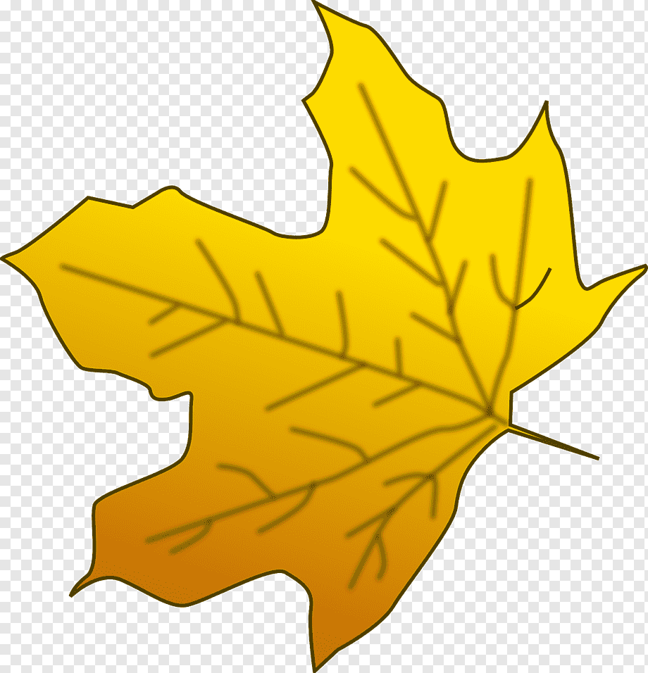 Лист тополя желтый