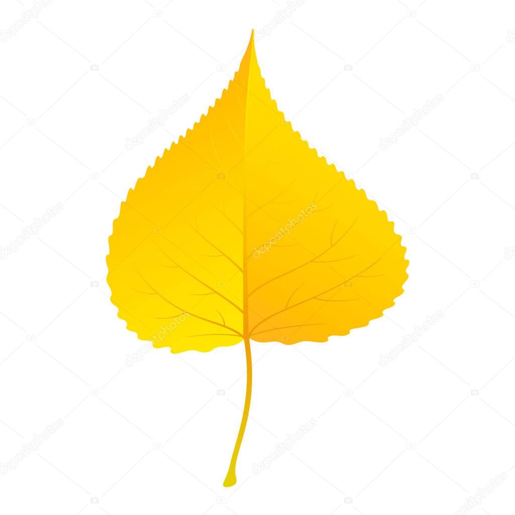 Желтые листья