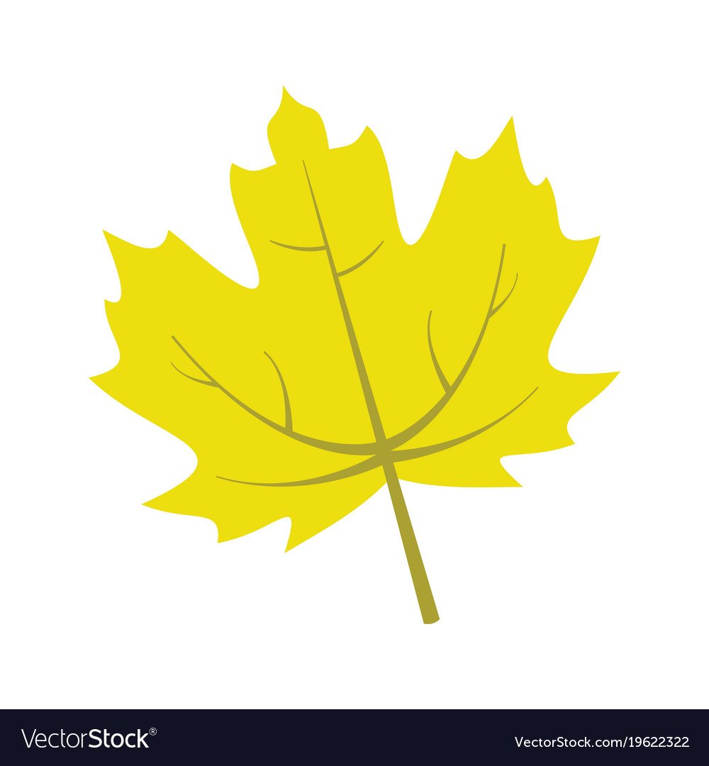 Осенние листья акварель