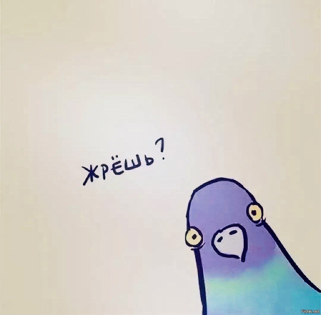 Голубь рисунок жрешь