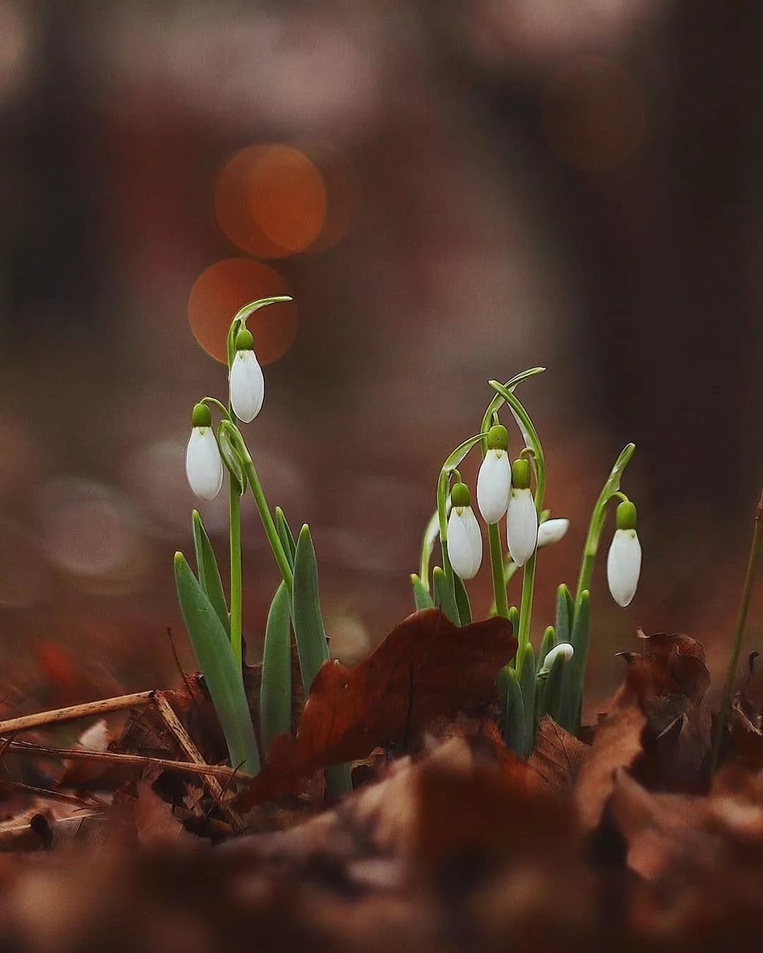 Весеннее потепление