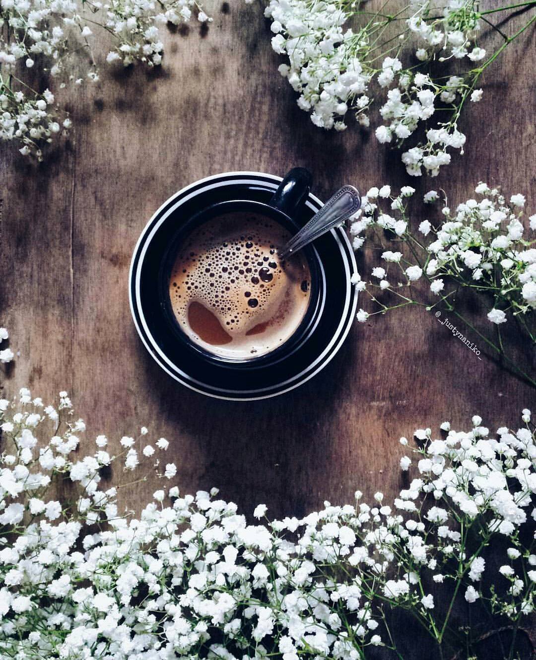 Весна капель