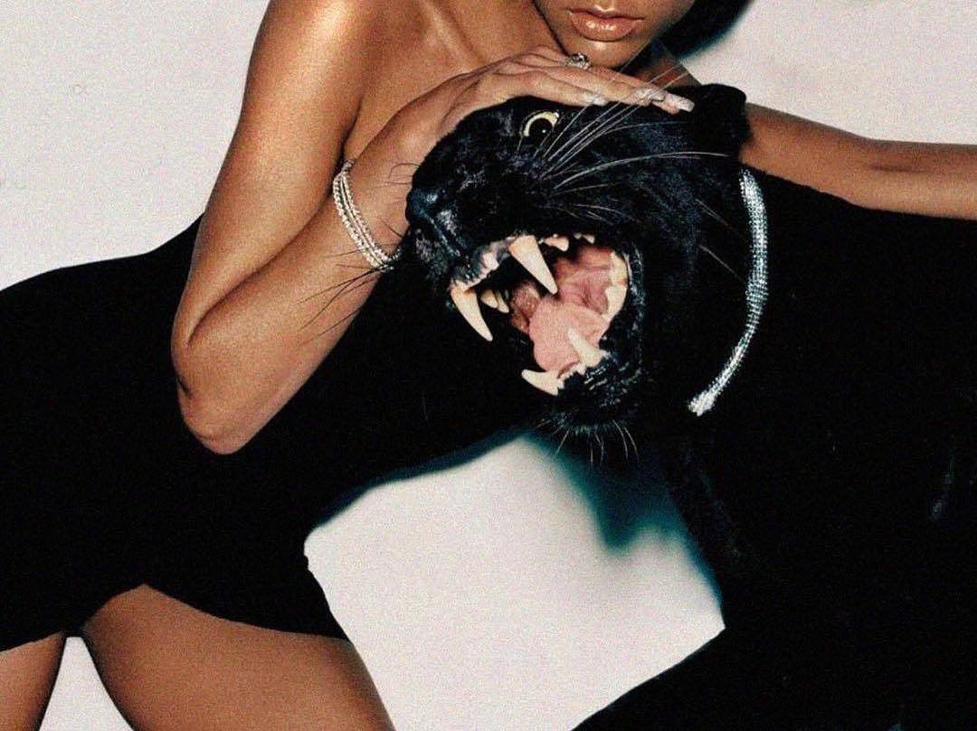 Оскал на черном фоне