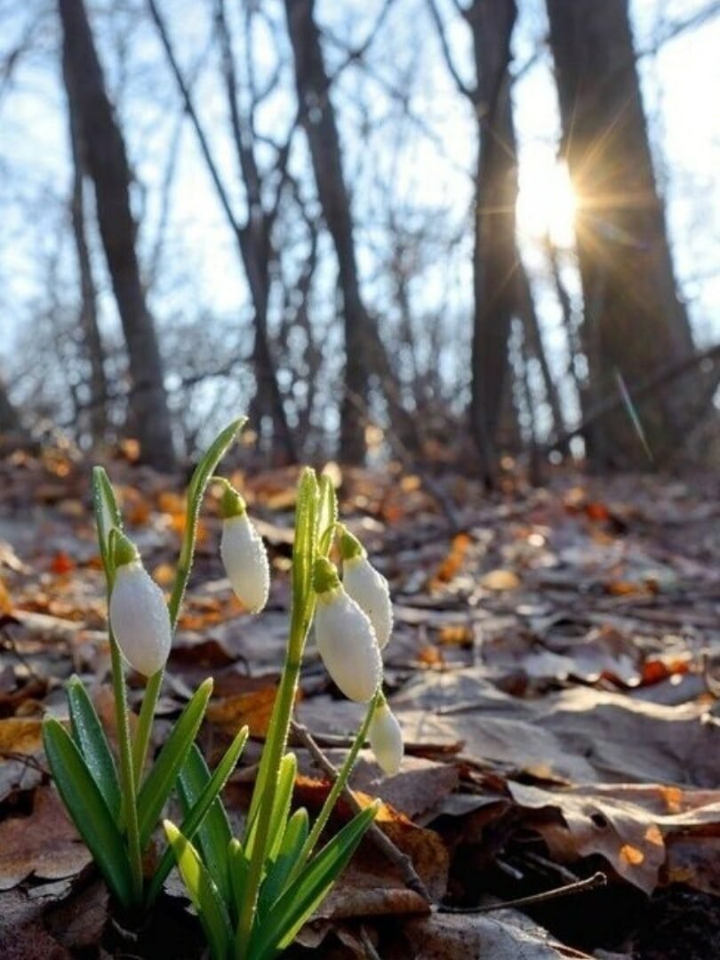 Фотосессия 12 месяцев
