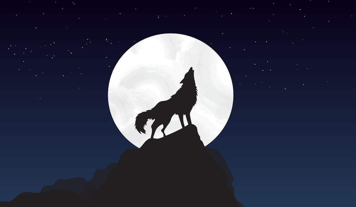 Силуэт волка воющего на луну