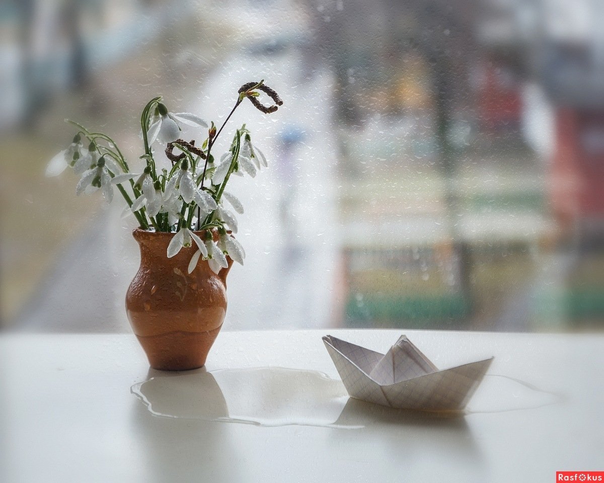 Подснежники Эстетика