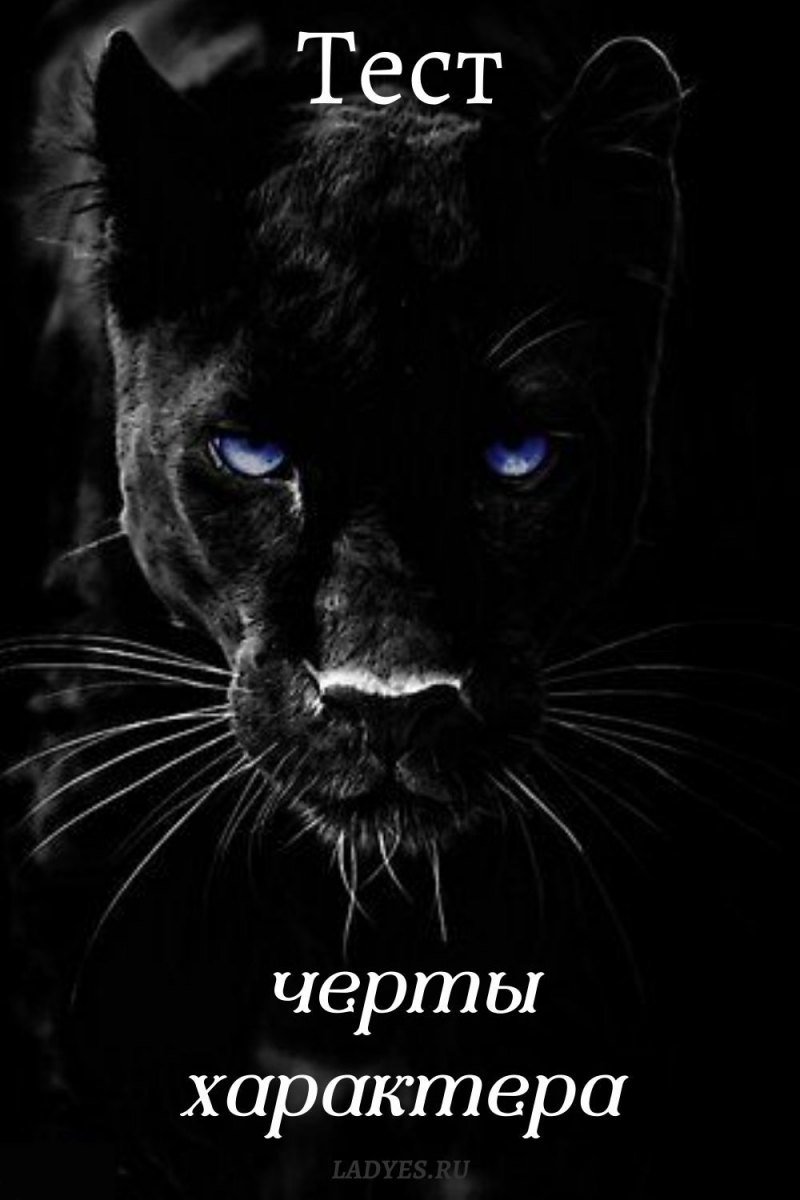 Тиберий пантера