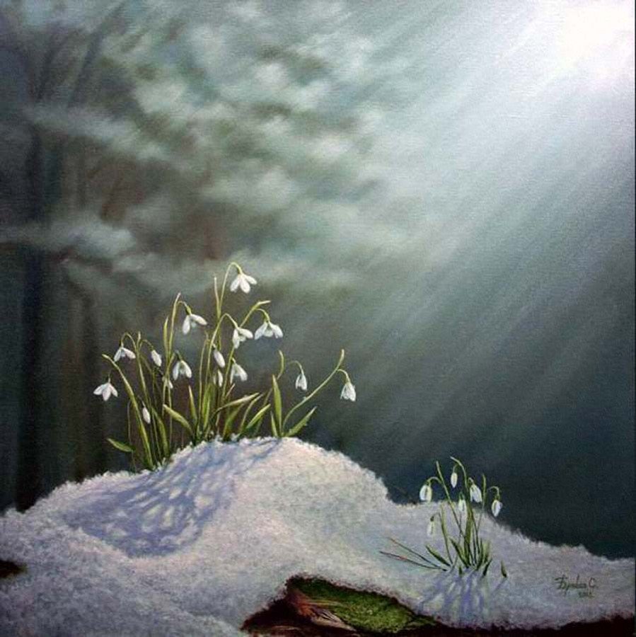 Солнце и подснежники картинки