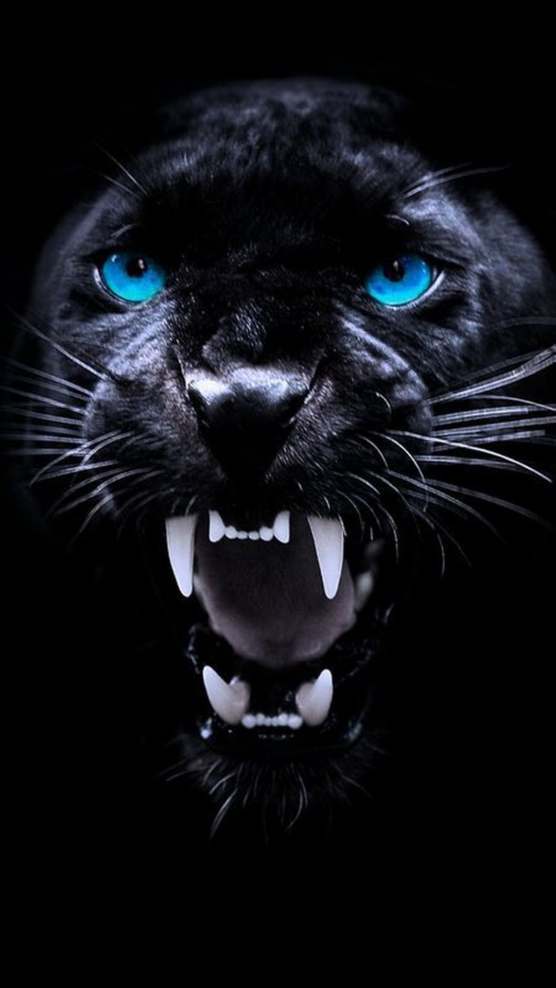 Пантера картинки на телефон