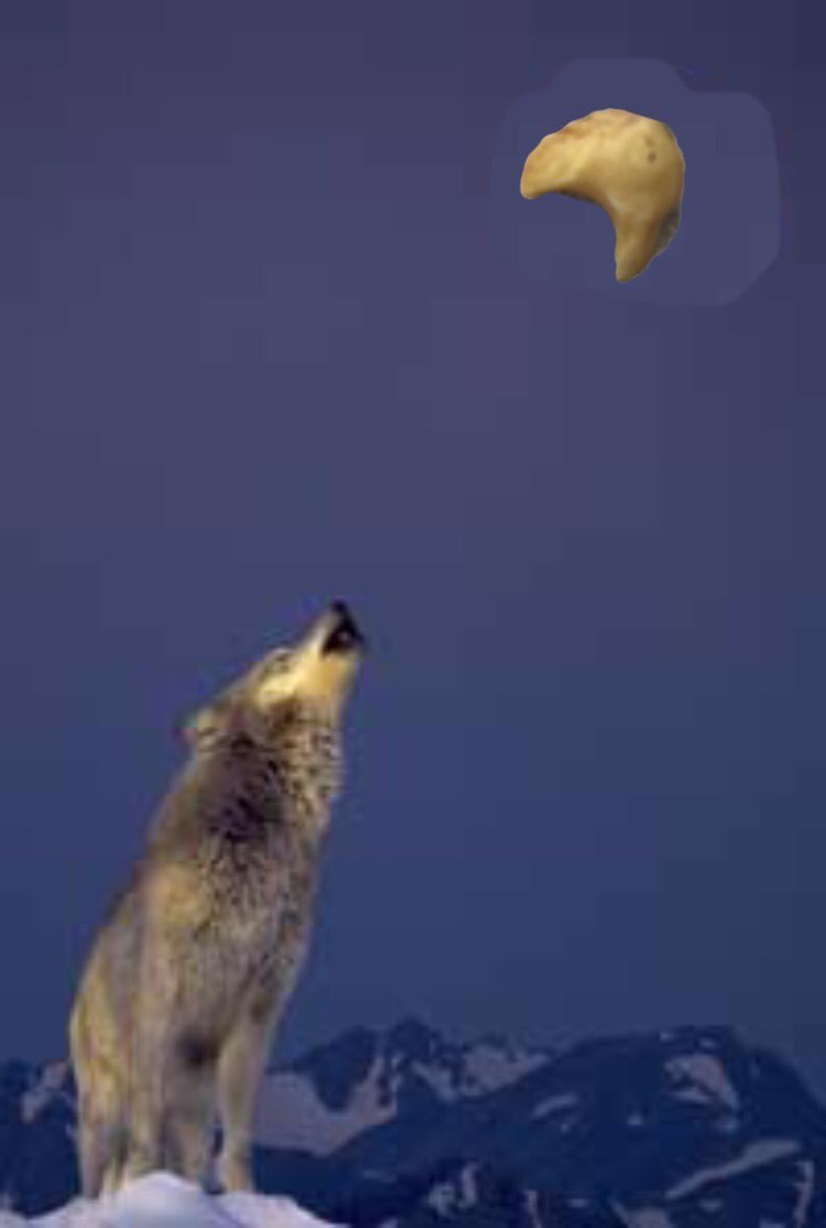 Воющий волк