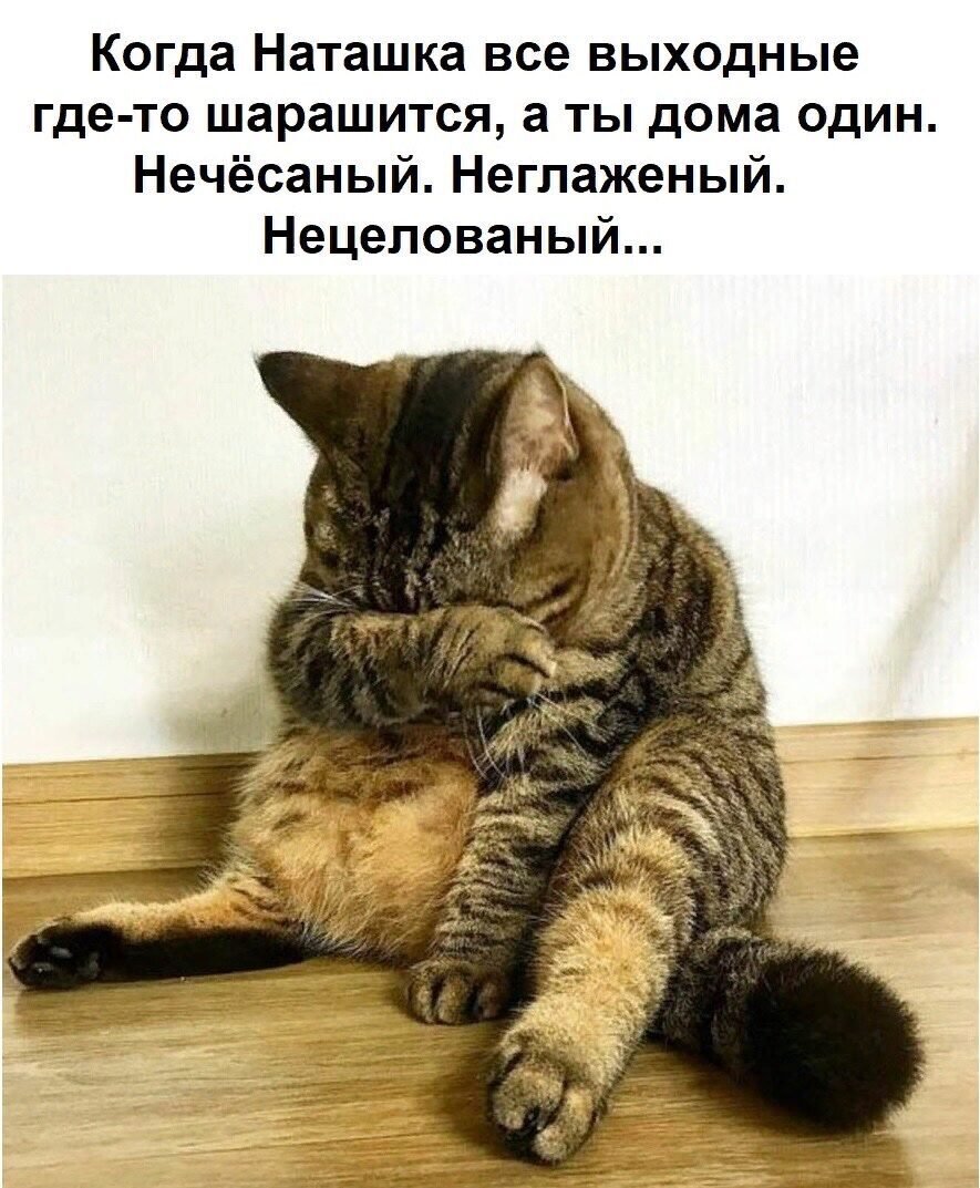 Приколы для поднятия настроения