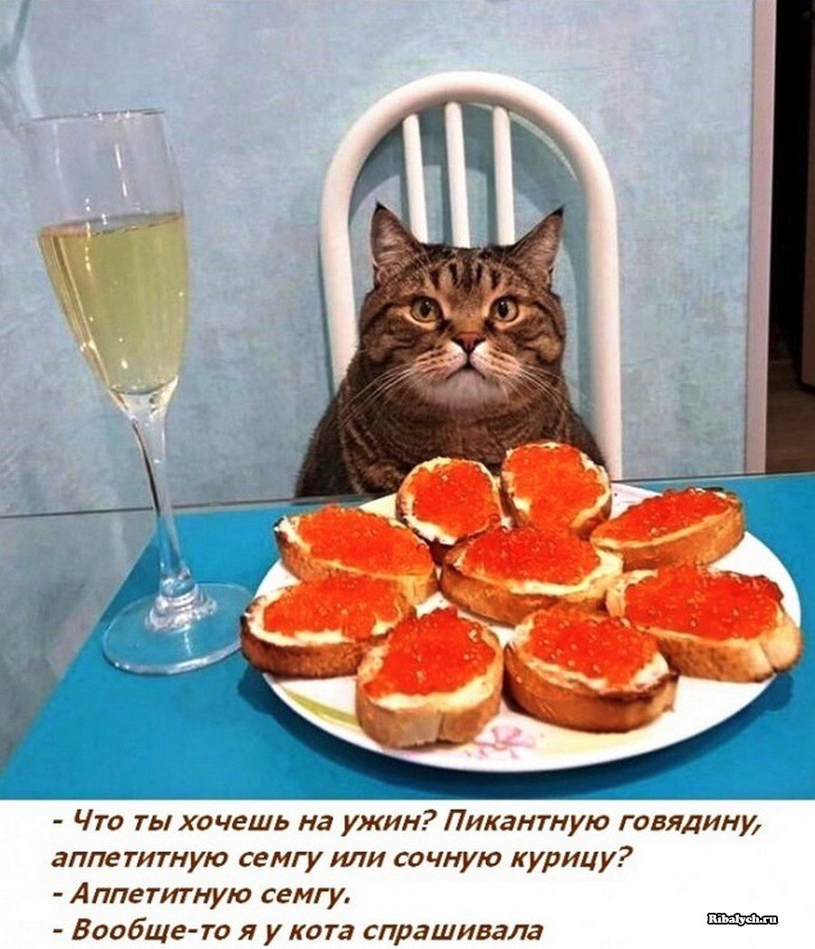 Юмор для поднятия настроения