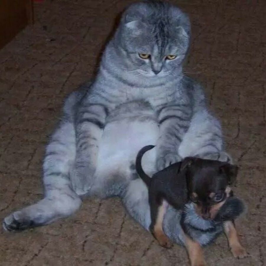 Покусаю тебя