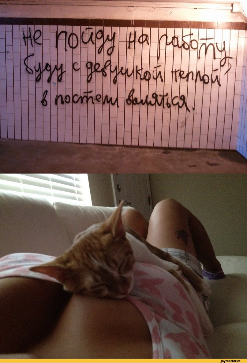 Прикольные картинки с надписями