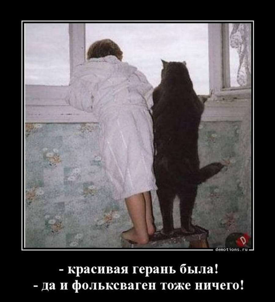 Приколы с надписями