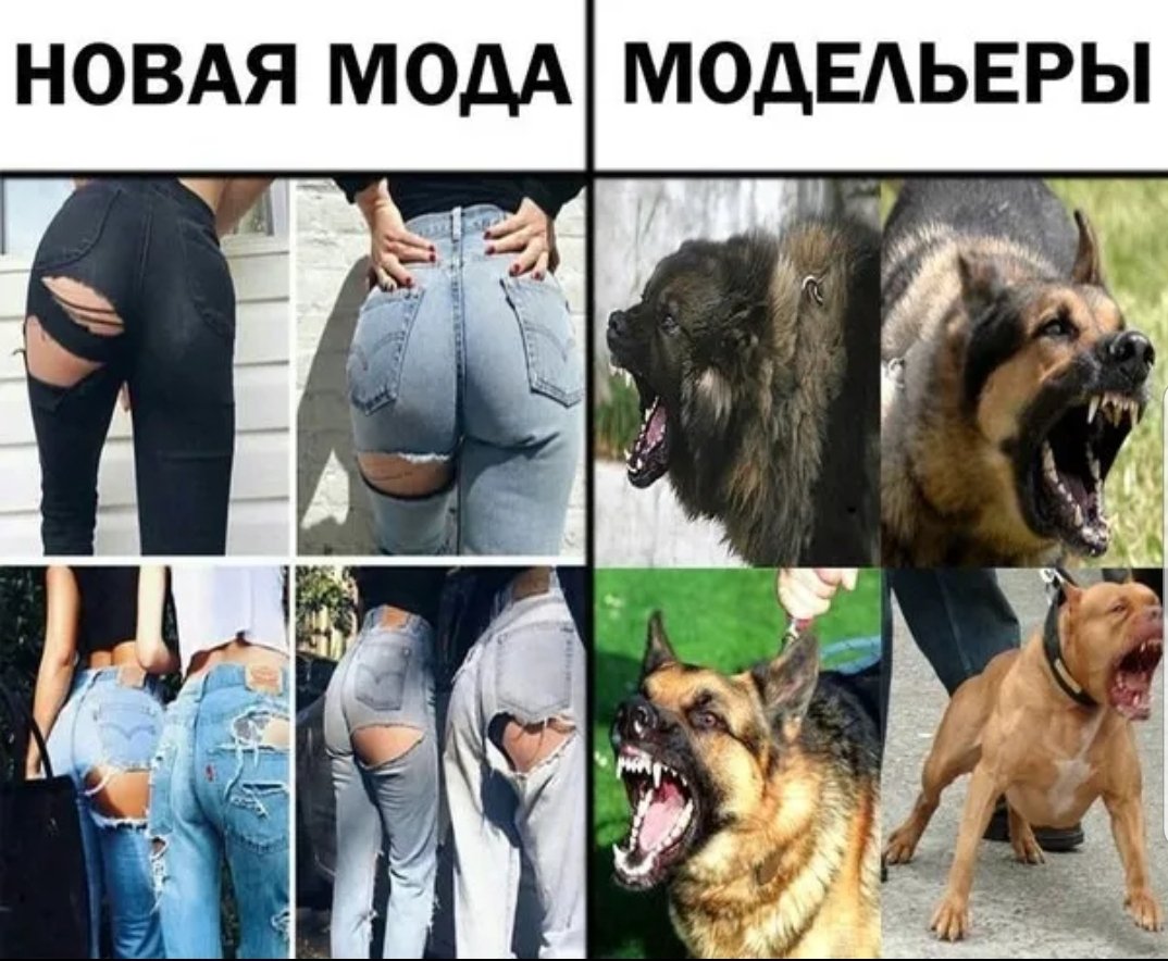 Убойные приколы картинки