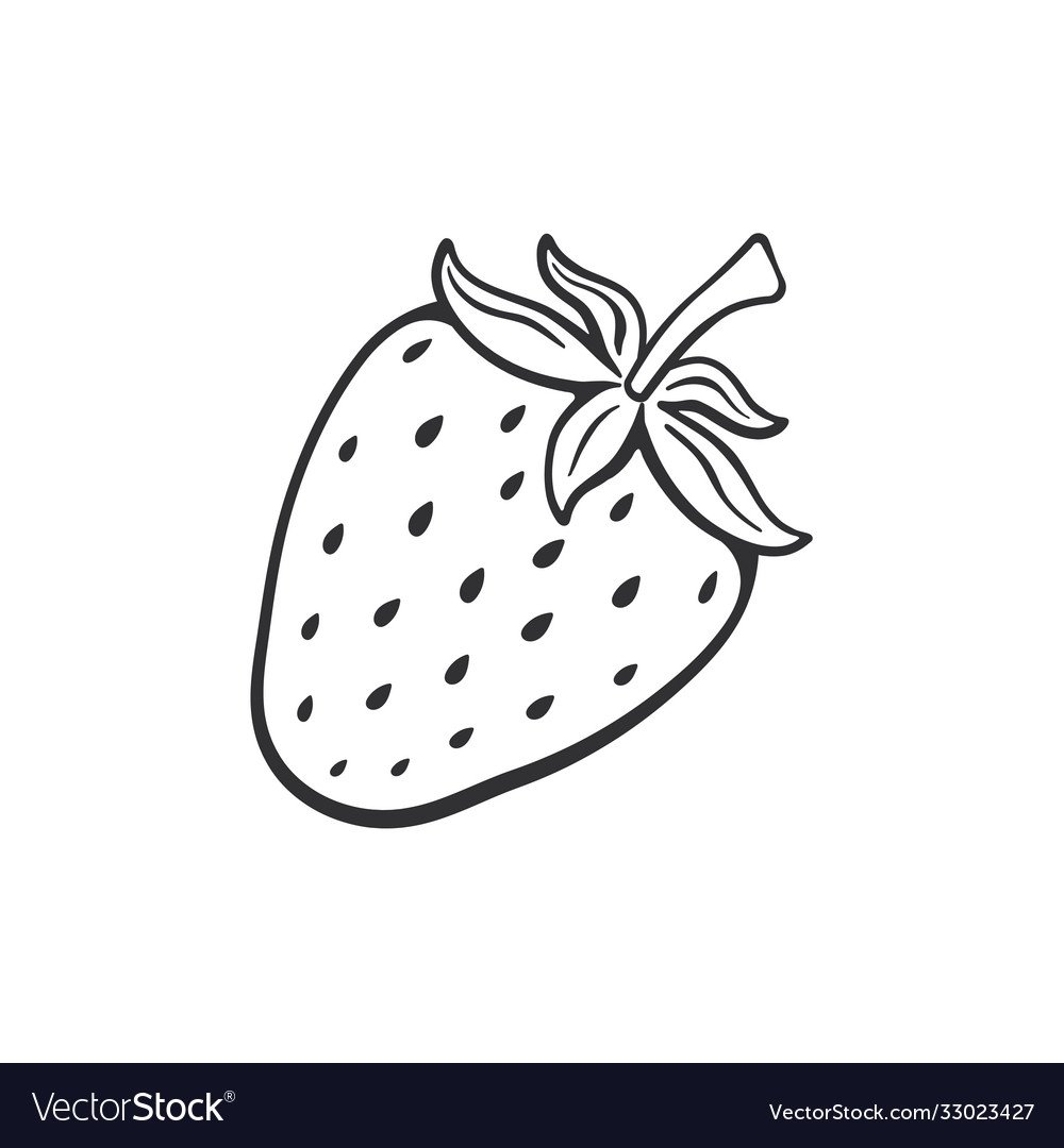 Земляника вектор