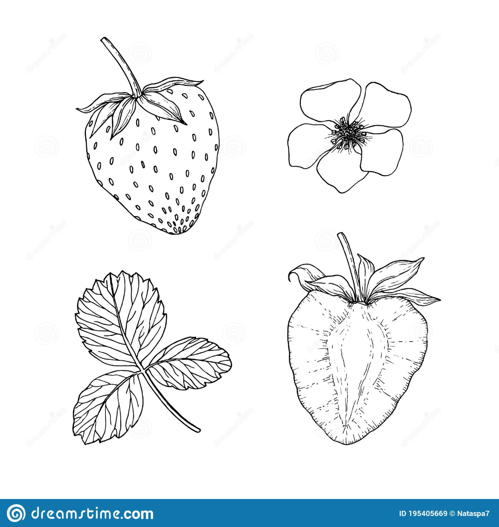 Картинки фруктов для срисовки