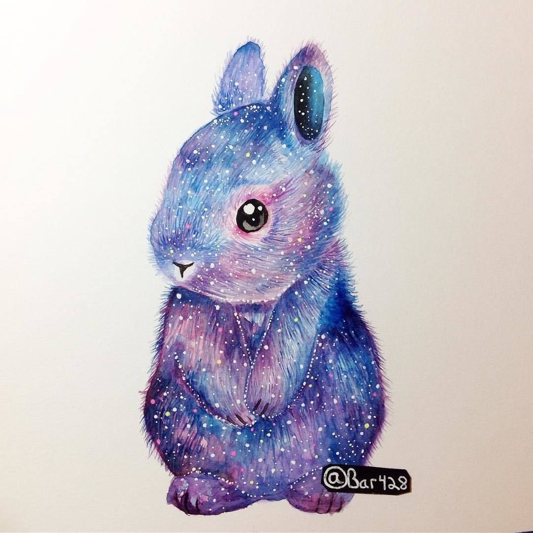 Милые еноты