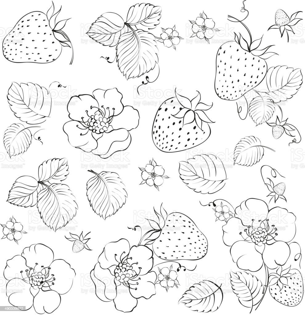 Клубника скетч вектор