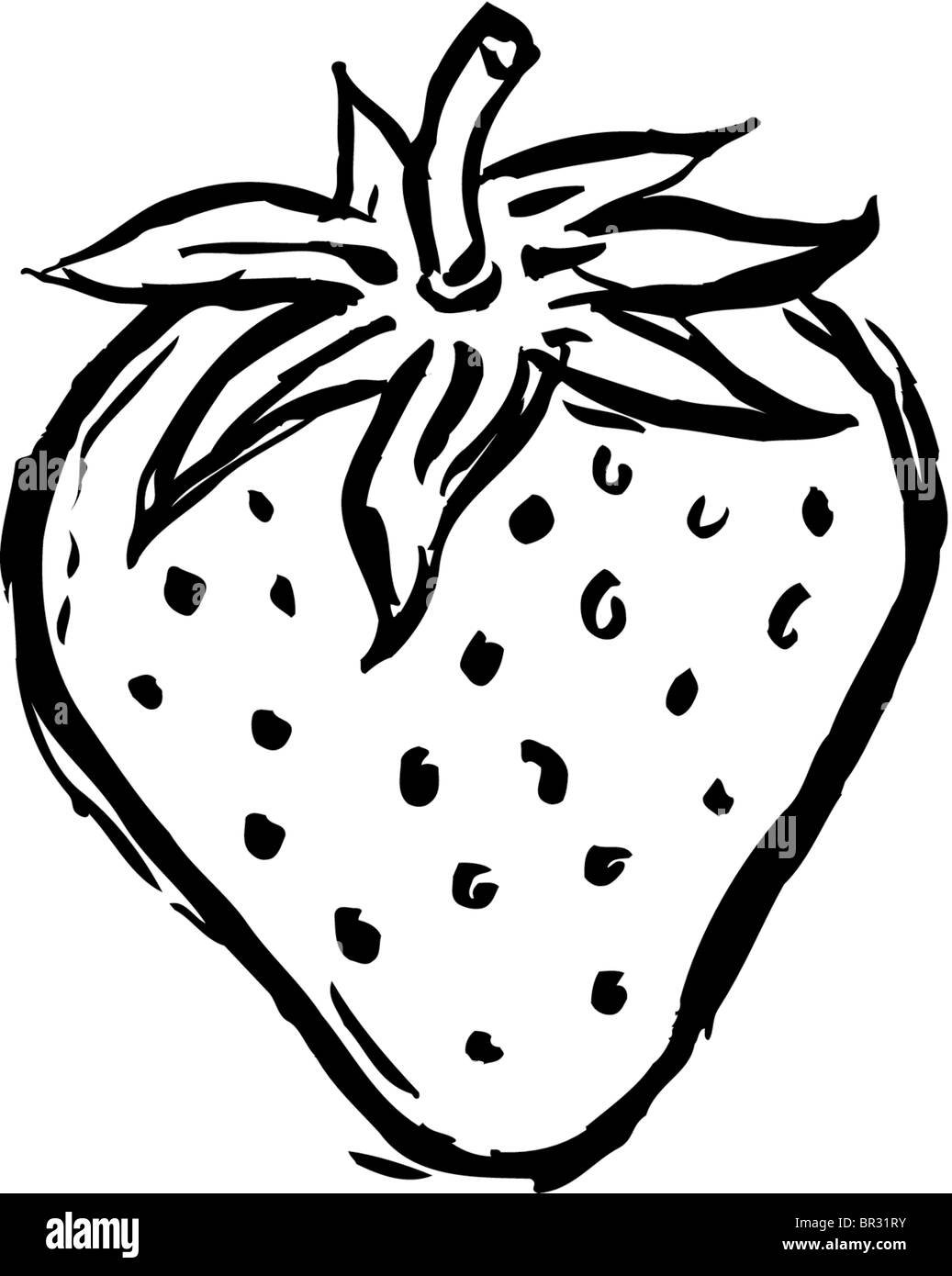 Ягоды рисунок скетч