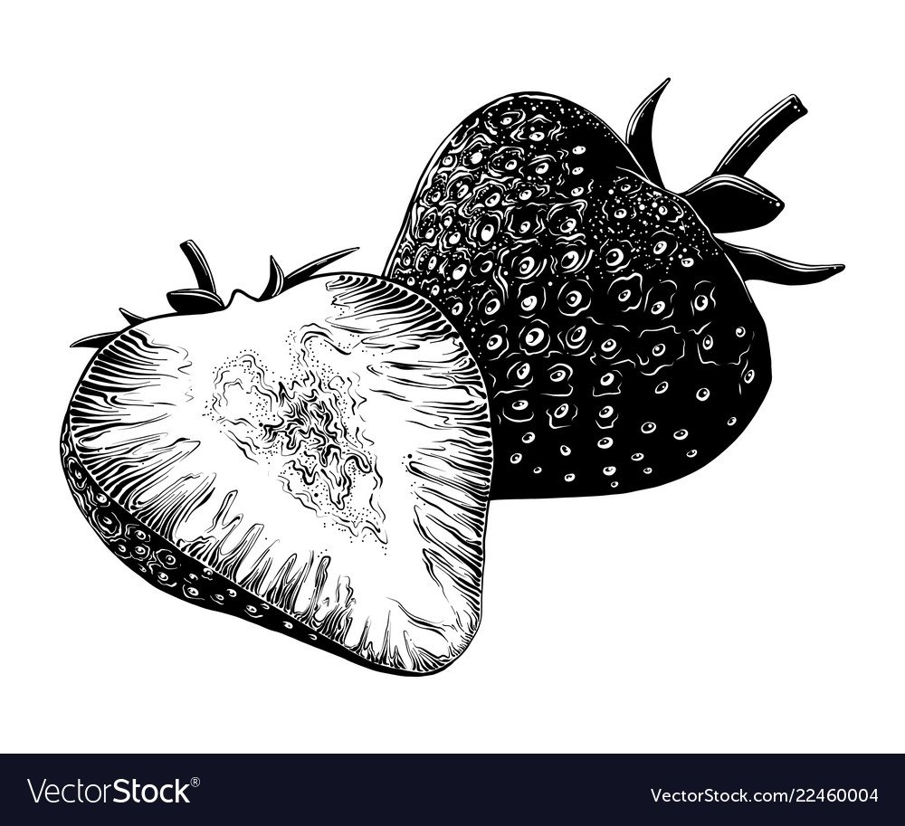 Клубника черно белая картинка