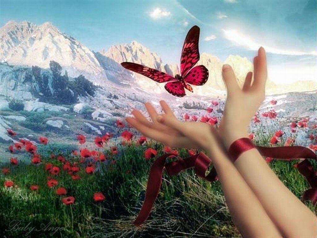 Лето на ладони