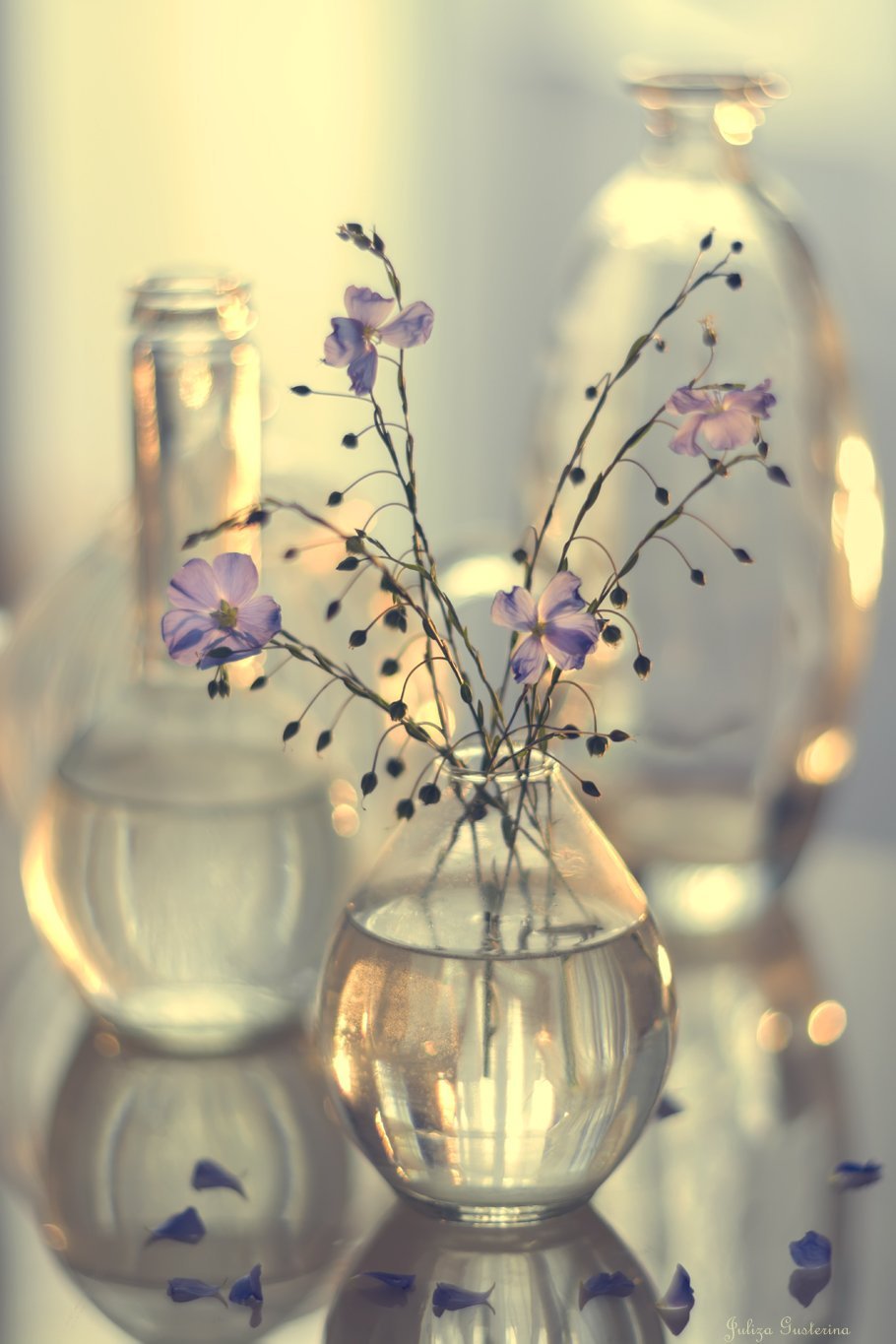 Цветы в воде в вазе