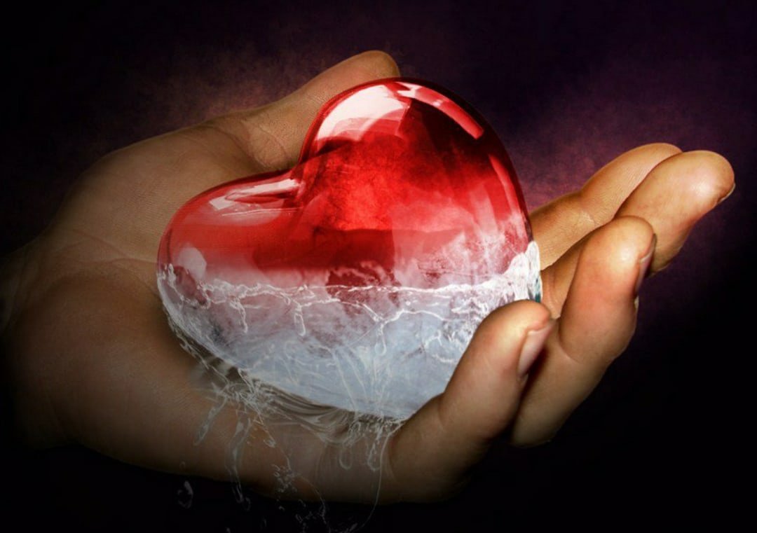 Сердце в руках