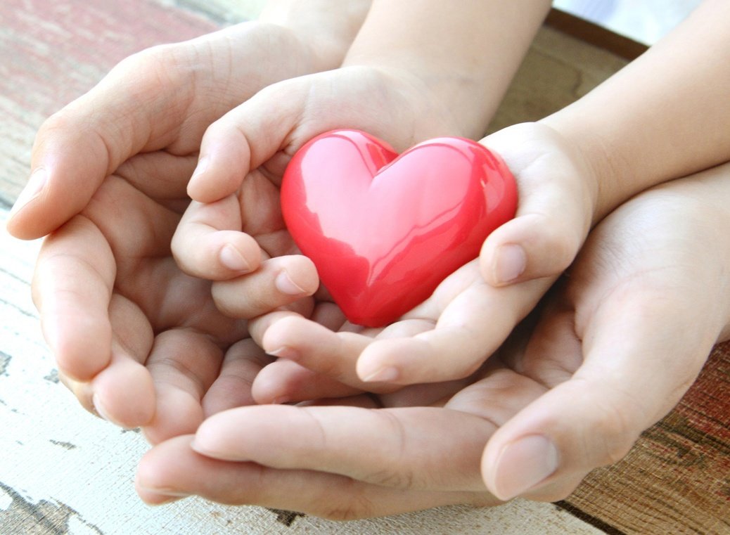 Сердце в ладонях