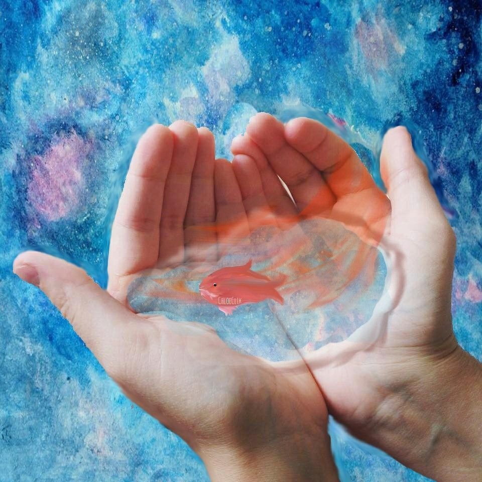 Камень на ладони