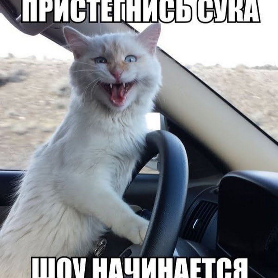 Домой пора домой