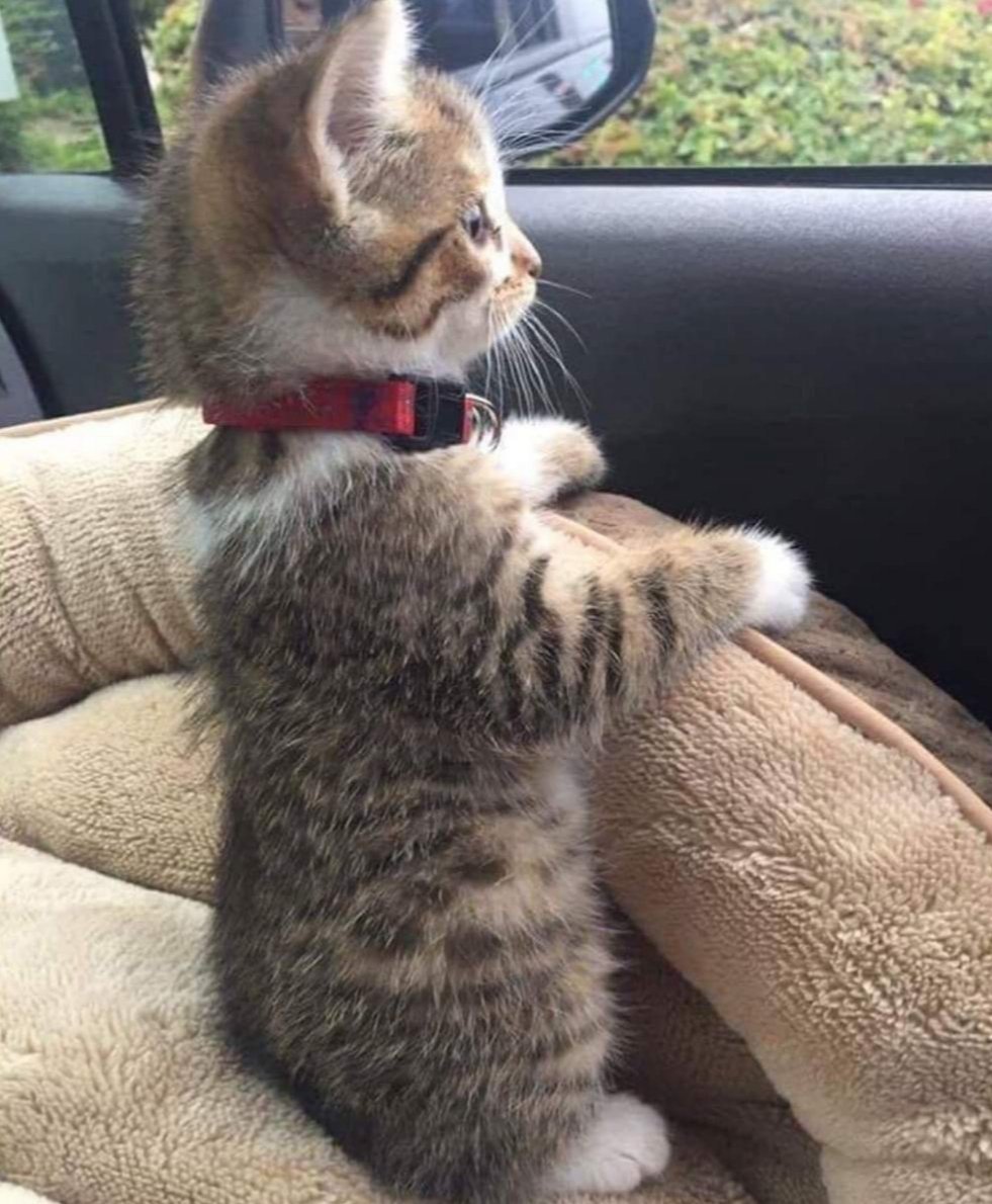 Ава в отпуске