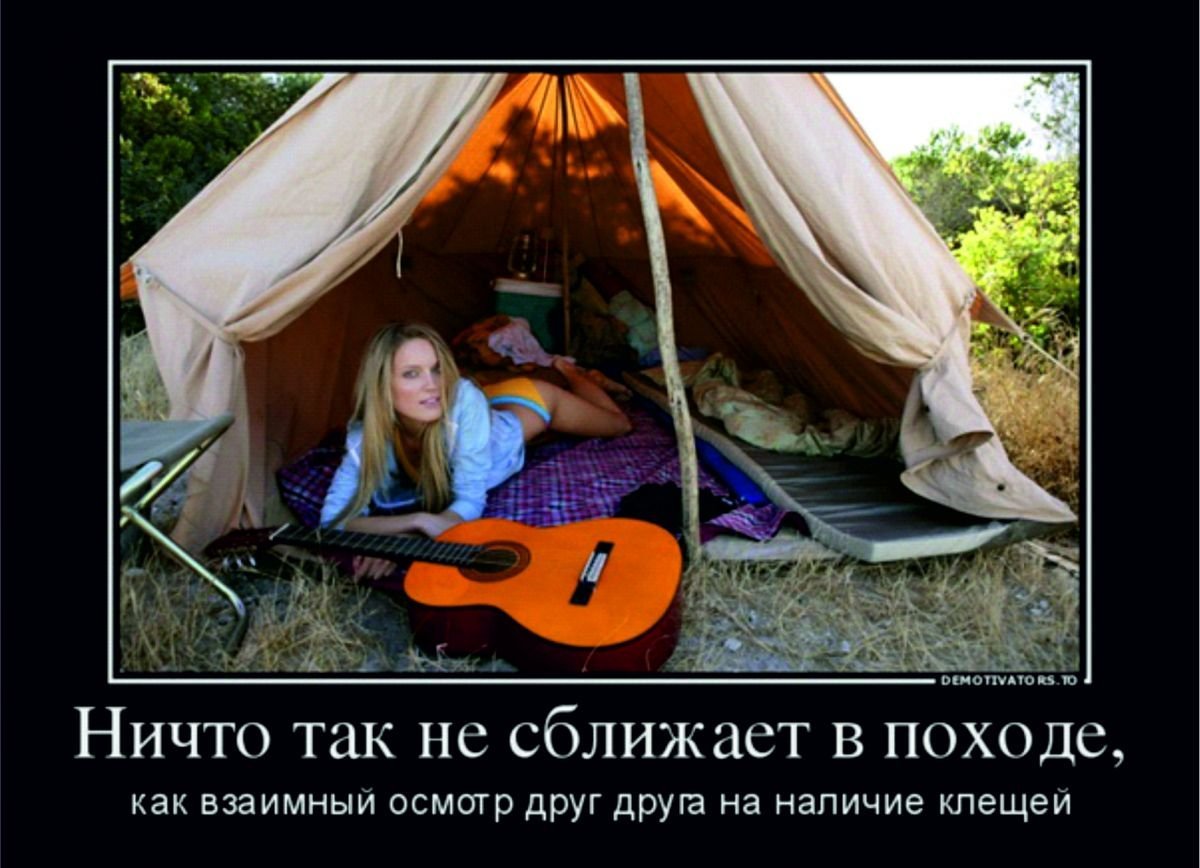 Свинья отдыхает