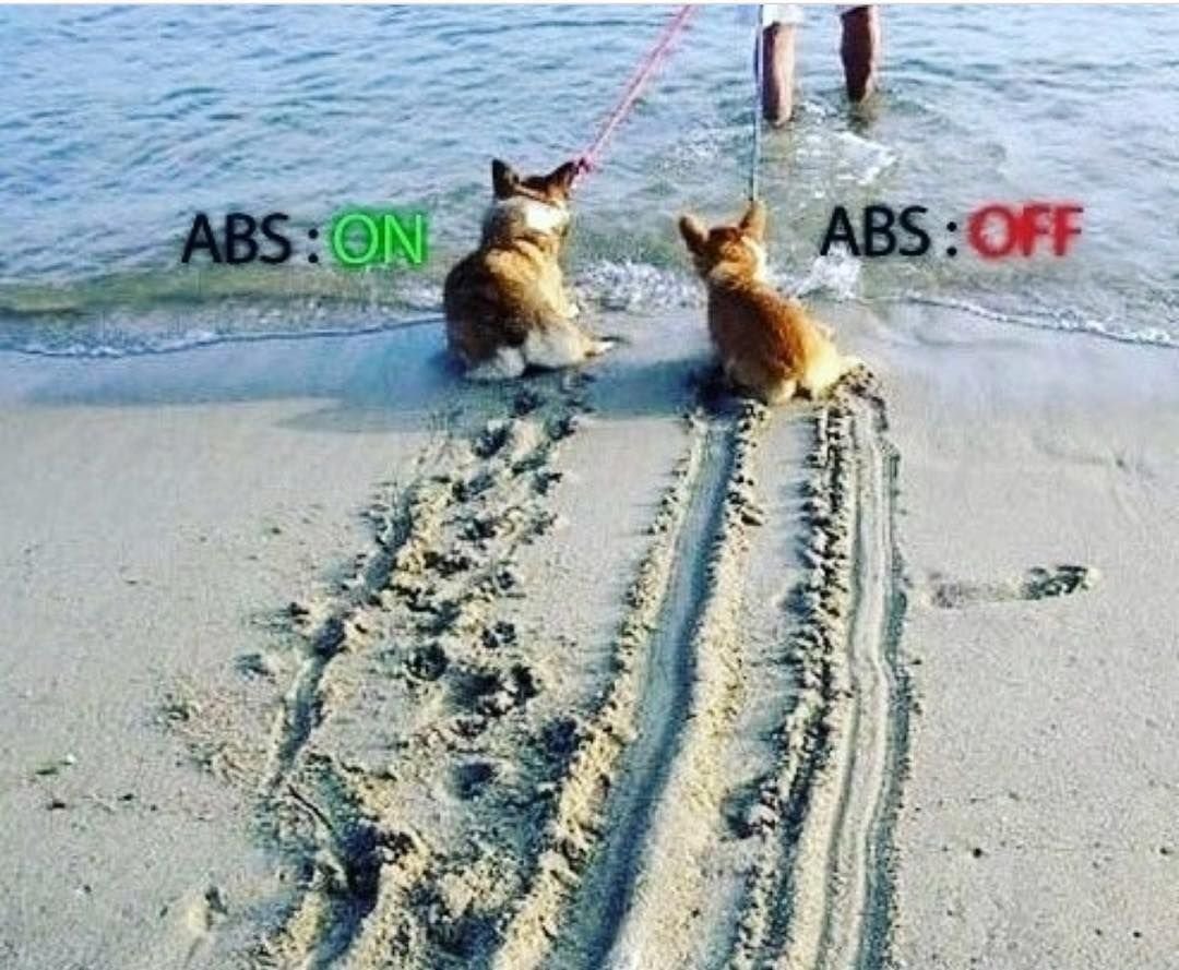 Приколы на пляже