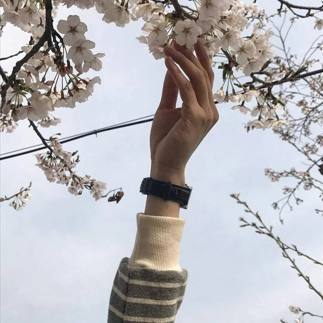 Девушка Эстетика