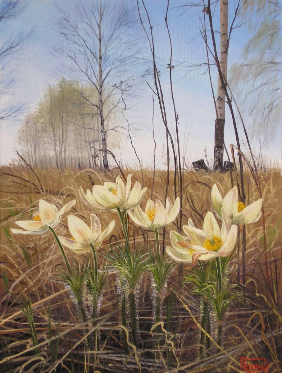 Репин Дмитрий. Первоцветы