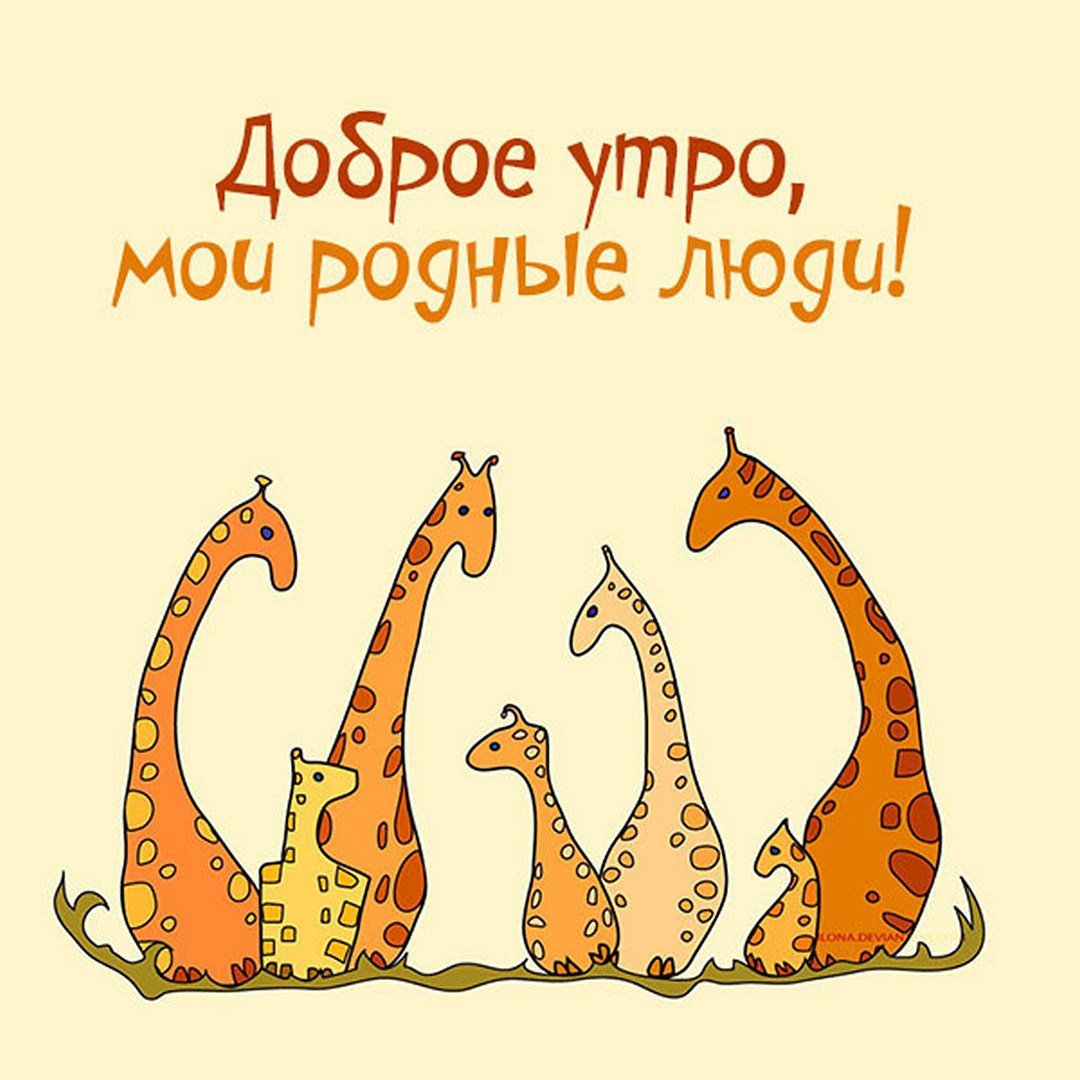 Приколы с жирафами и слонами