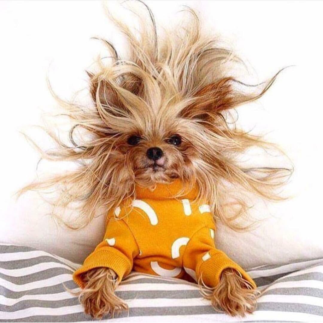 С добрым утром