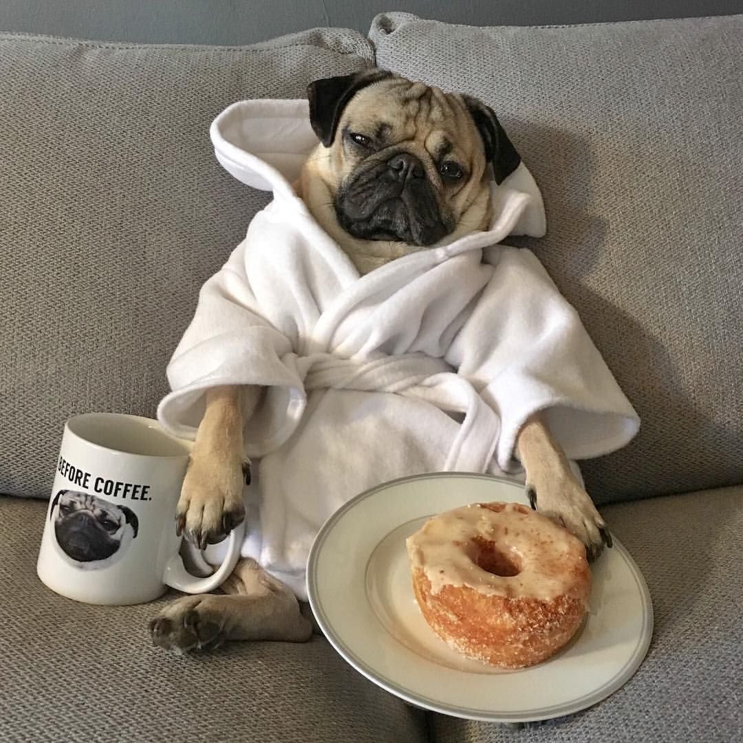 Стильные открытки добрый день