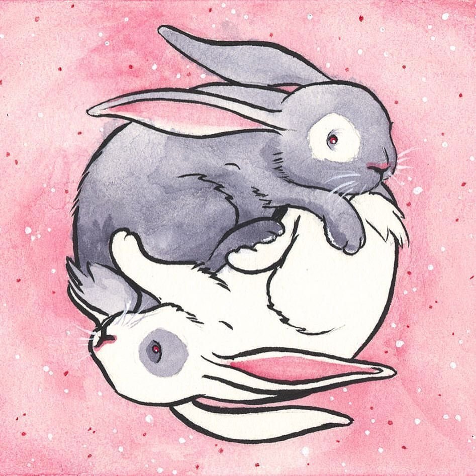 Картинки кролика для срисовки