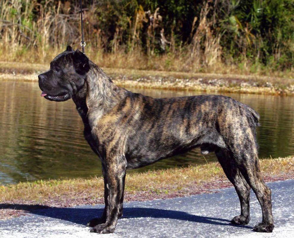 Раскраски маленькие детали