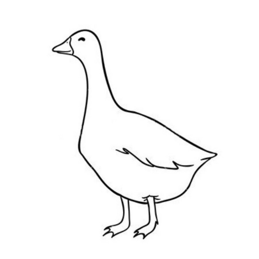 Гусь эскиз