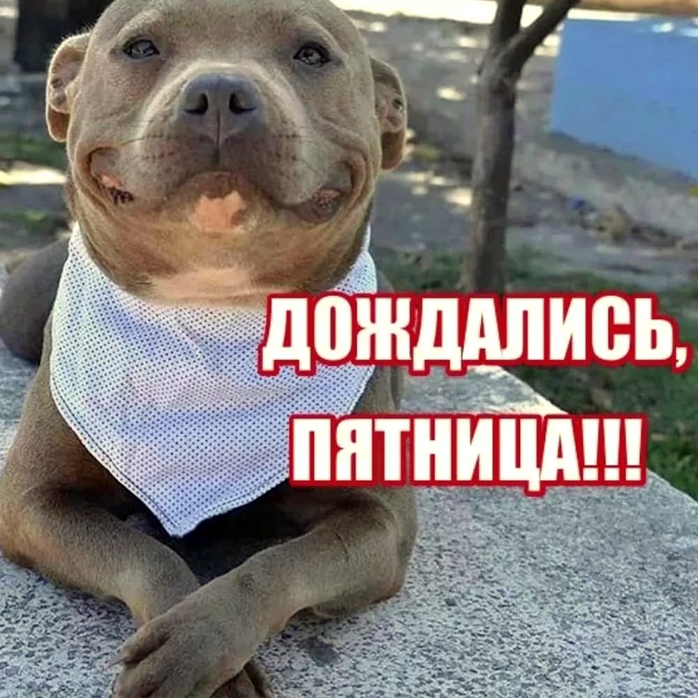 Открытки с пятницей прикольные