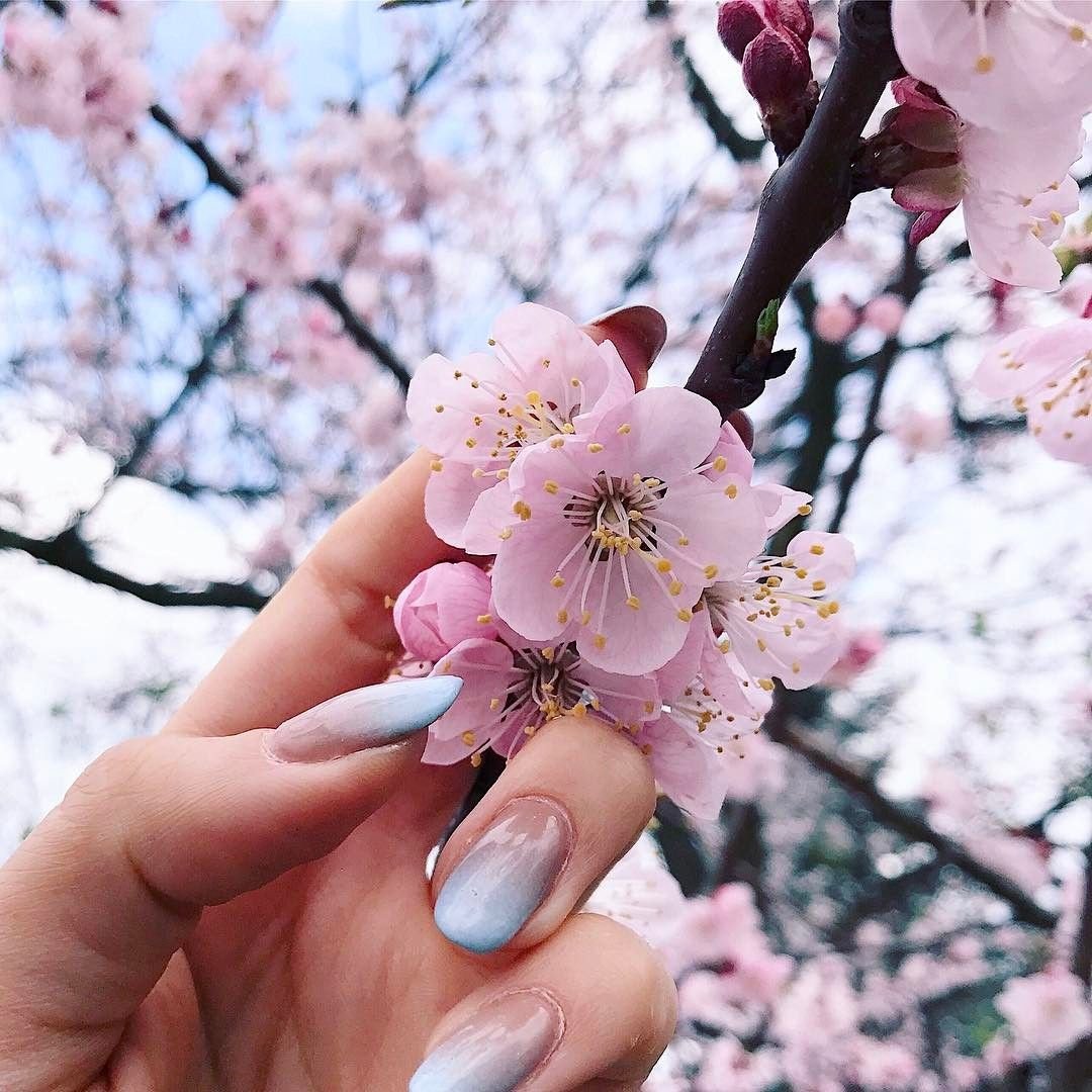 Весенние фото для инстаграма